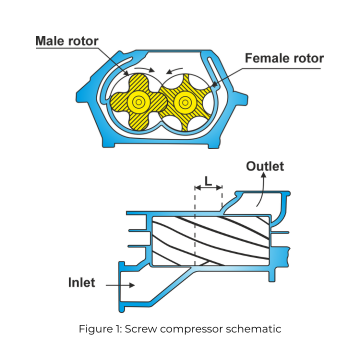 Screw compressor schematic